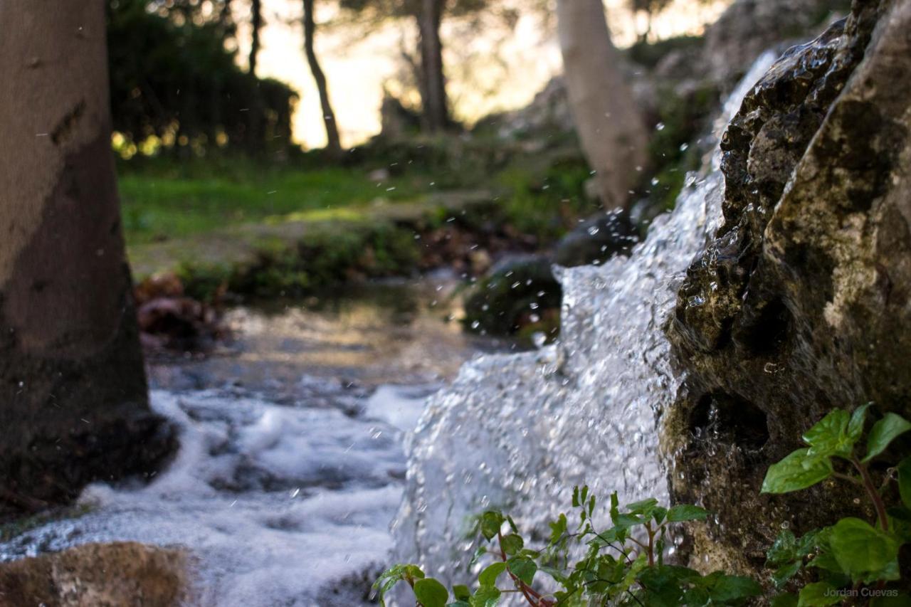 Cuevas del Becerro Casa Rural El Puente מראה חיצוני תמונה
